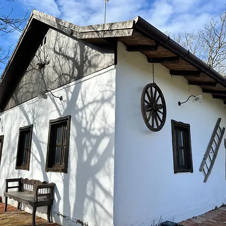 Kotlos Tanya Zakanyszek